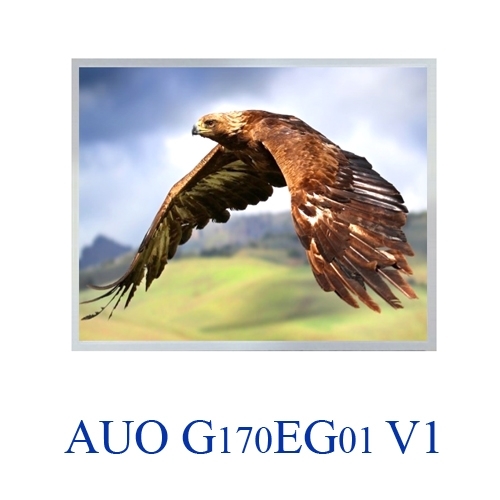 G170EG01 V1