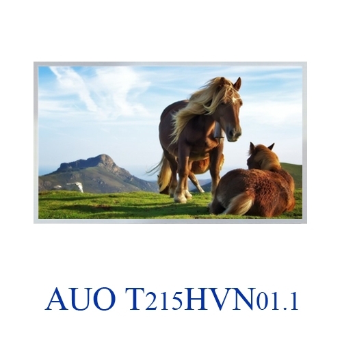 T215HVN01.1
