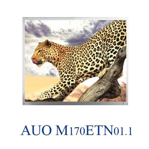 M170ETN01.1